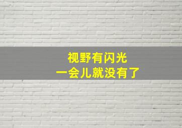 视野有闪光 一会儿就没有了